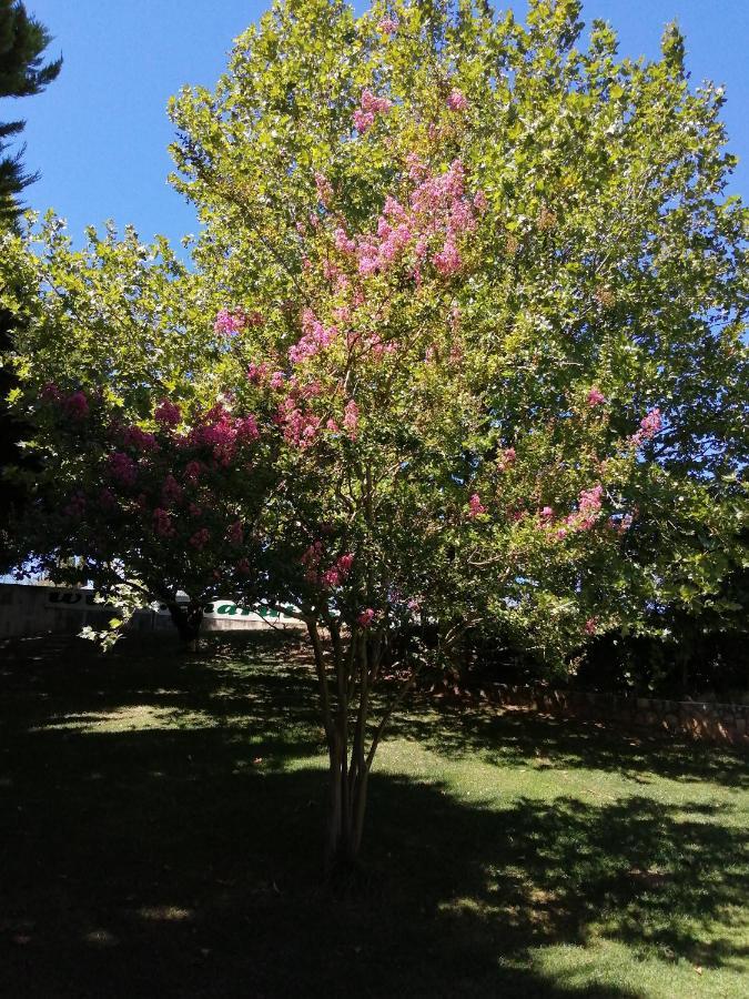 Do Sol Luxuszelt