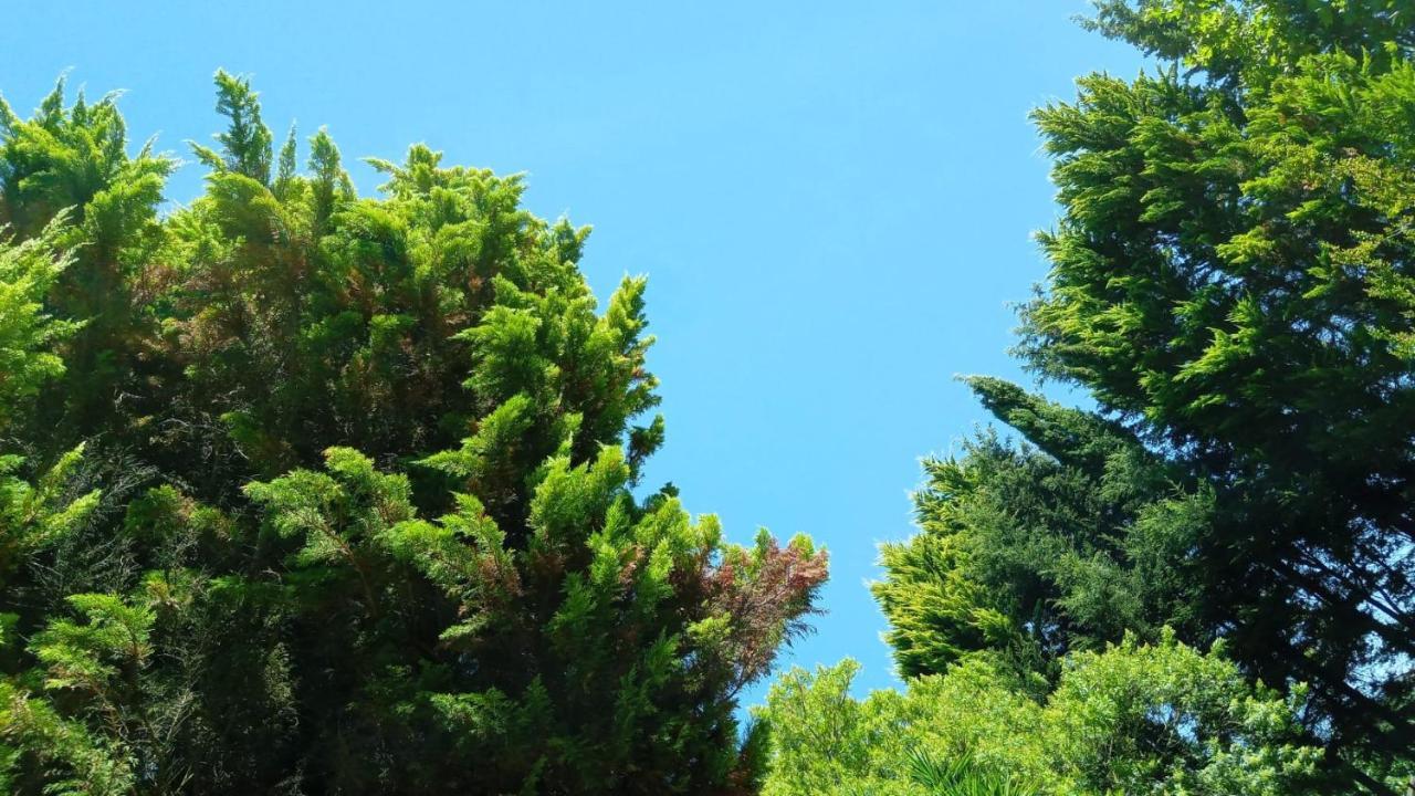 Do Sol * Torres Vedras