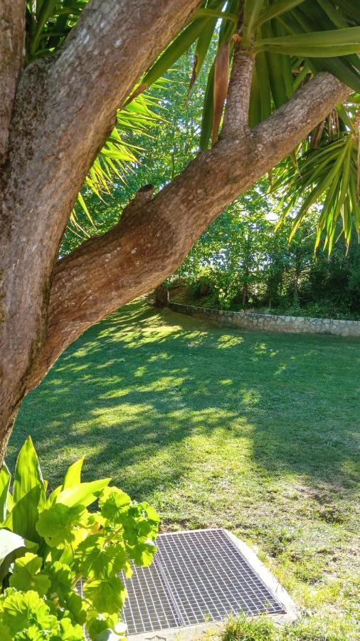 Glamping Do Sol *