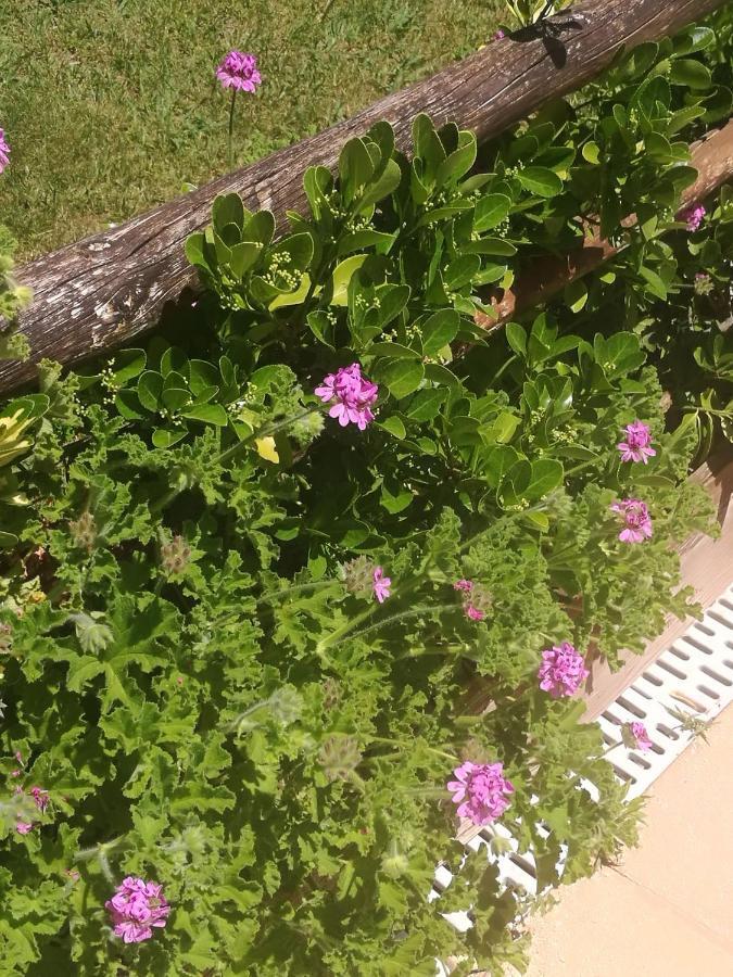 Do Sol