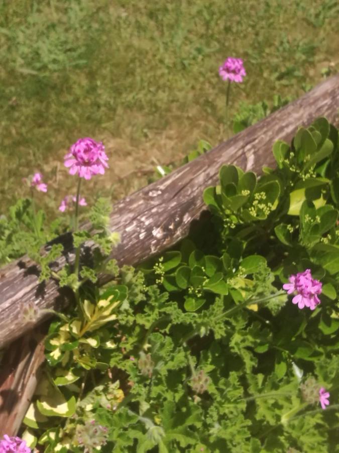Do Sol Luxuszelt