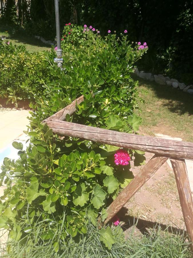 Do Sol * Torres Vedras
