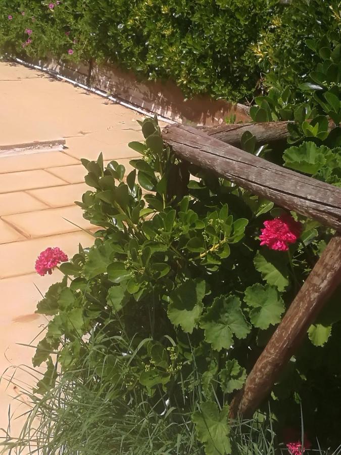 Do Sol Glamping Torres Vedras